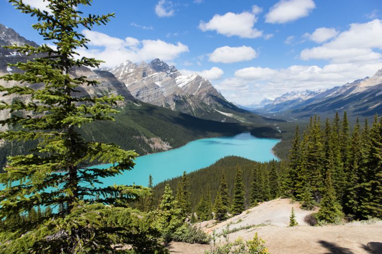 Banff Travel Guide - Medicine & Manicures